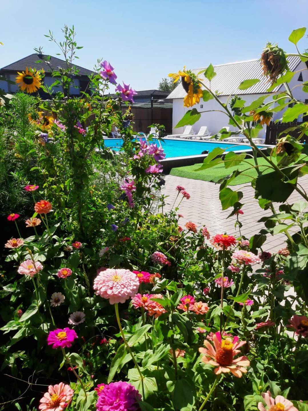 Malibu Guest House Kapchagay Εξωτερικό φωτογραφία