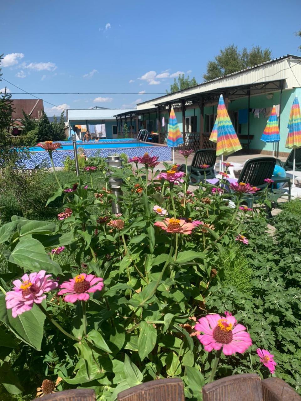 Malibu Guest House Kapchagay Εξωτερικό φωτογραφία
