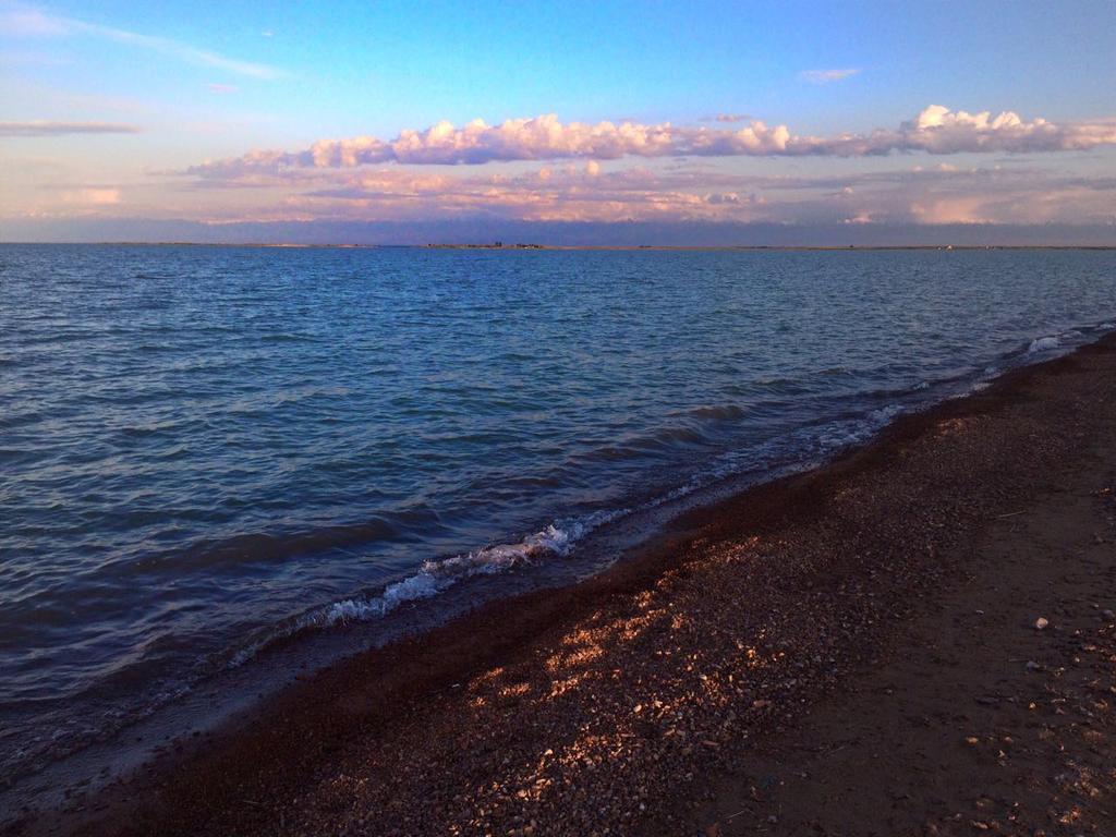 Malibu Guest House Kapchagay Εξωτερικό φωτογραφία